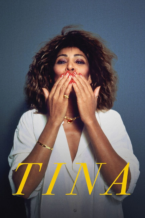 Poster for TINA